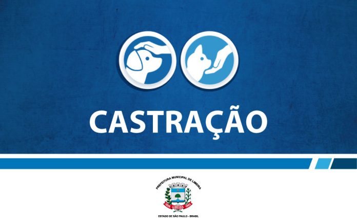 Fim de semana terá castração gratuita de cães e gatos