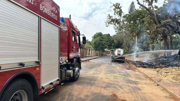 Incêndio atinge tronco de árvore condenada na praça da Boyes – Portal do Município de Piracicaba