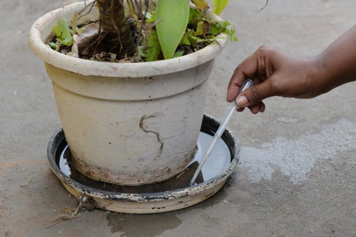 Mutirão contra dengue percorre região do Vitório Lucato neste sábado