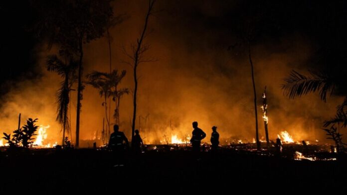 Governadores da Amazônia Legal cobram governo por queimada recorde