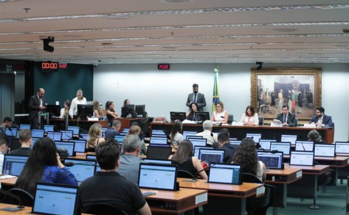 Reunião Deliberativa. Dep. Bia Kicis (PL - DF). Dep. Ricardo Ayres (REPUBLICANOS - TO). Advogado, Murilo de Oliveira.