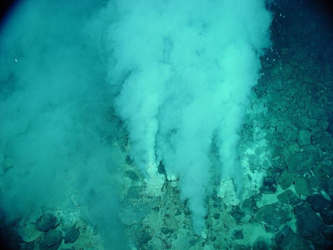 Fundo do mar: pesquisadores descobrem novas formas de vida abaixo do oceano