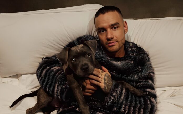 Liam Payne gravou reality musical para a Netflix antes de morte trágica em hotel · Notícias da TV