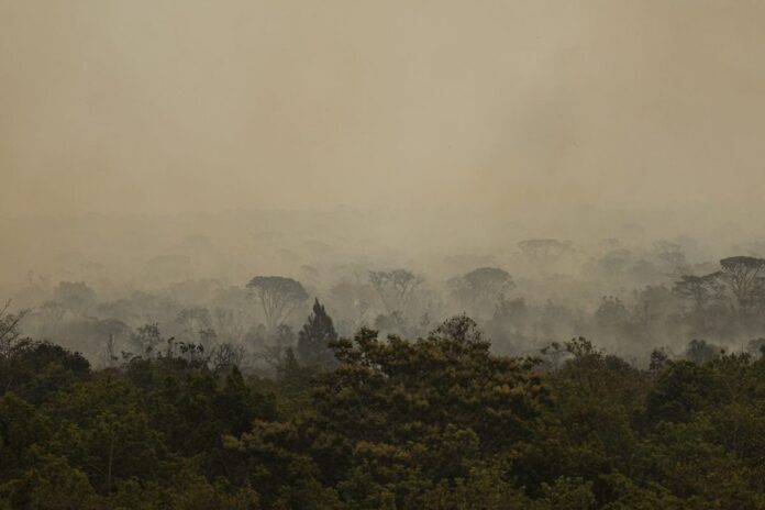 1% mais rico do mundo leva apenas 10 dias para consumir cota anual de carbono – Sociedade – CartaCapital