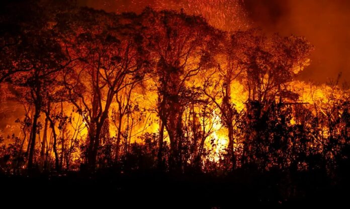 Brasil teve 278 mil focos de incêndio em 2024, aponta Inpe – Sociedade – CartaCapital