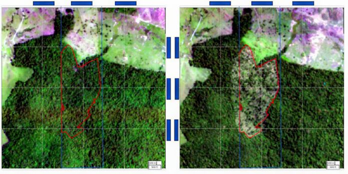 BNDES usa imagens de satélite para barrar empréstimo a desmatadores