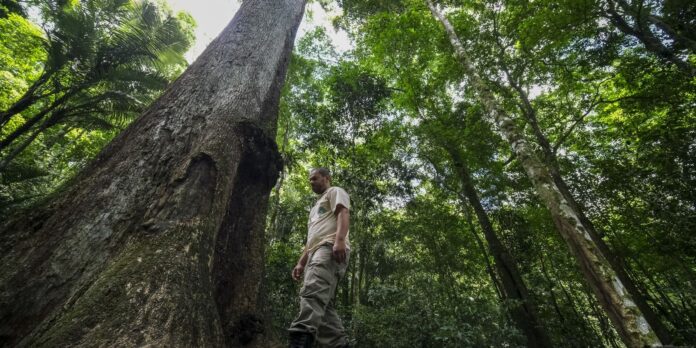 Conabio lança novas metas de conservação da biodiversidade para 2030