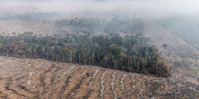 Fundo da Amazônia terá contribuição de R$ 91 milhões da Irlanda