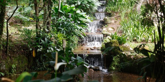 Sistema de água com mais de 200 anos abastece Jardim Botânico do Rio